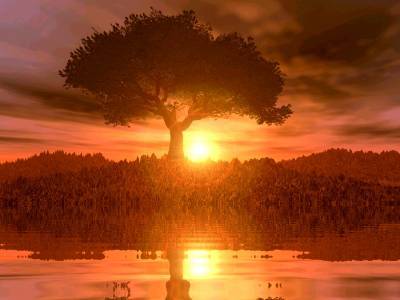 Sunset Thoughts Screenshot